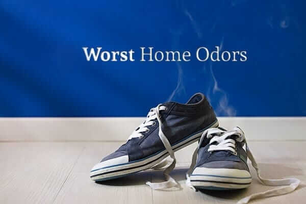 How to Eliminate the 8 Worst Home Odors How to Eliminate the 8 Worst Home Odors