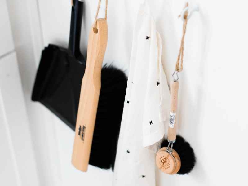4 Housekeeping Tips For a Cat-Friendly Home 4 Housekeeping Tips For a Cat-Friendly Home